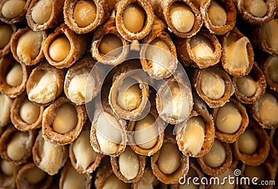 A stack of canoli Stock Photo