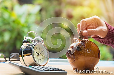 Stack coin with hand drop the coin into piggy bank. Financial Stock Photo