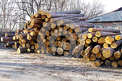 Stack of construction raw timber in sawmill yard Stock Photo
