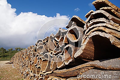 stack of cork layers Stock Photo