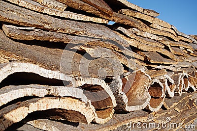 Stack of Cork layers Stock Photo