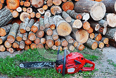 Stack of tree logs Stock Photo