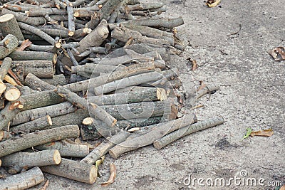 Stack fire wood Stock Photo