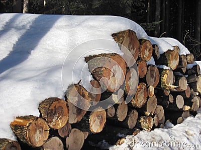 Stack of firewood under the snow Stock Photo