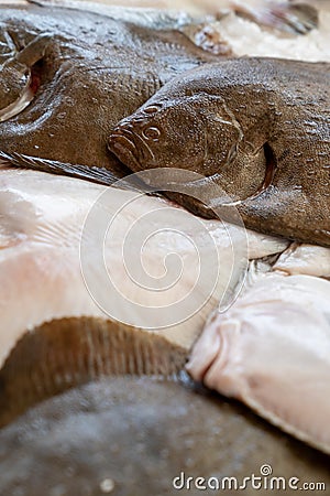 Stack of fresh brill fish sell at market Stock Photo