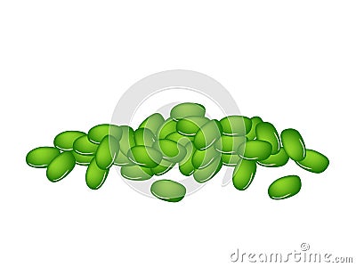 A Stack of Fresh Green Mung Beans Vector Illustration