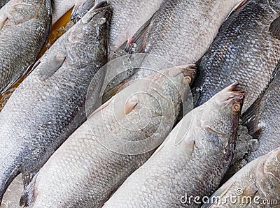 fresh snapper at fish market Stock Photo