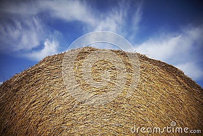 Stack of hay Stock Photo