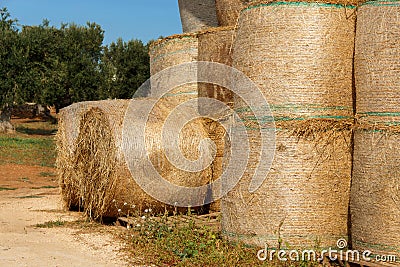 A stack of hay bales in countryside Stock Photo