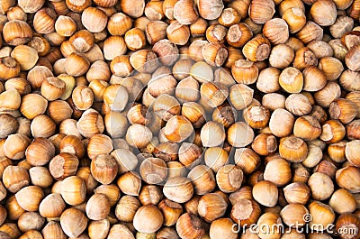 Stack of hazelnuts. Hazelnut background. Stock Photo