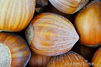 Stack of hazelnuts, macro. View from above. Stock Photo