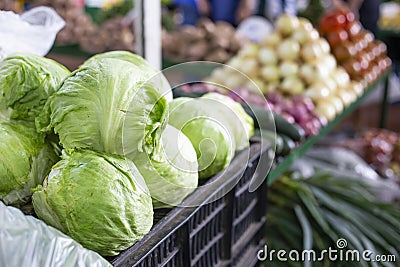 stack of lettuce in the market Stock Photo