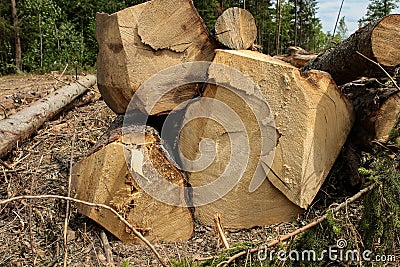 Stack of logs felled close-up uneven edge pattern background logging Stock Photo
