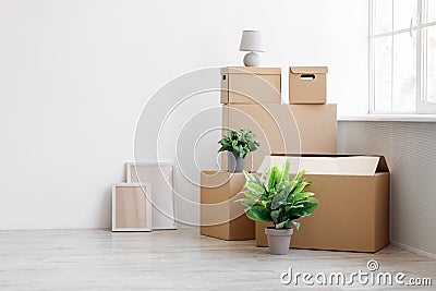 Stack of many different cardboard boxes with goods and green plants in pots on floor on white wall background Stock Photo