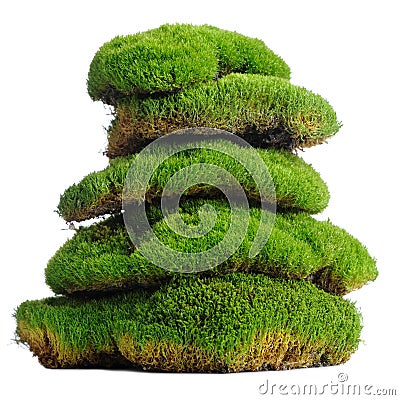 Stack of Moss Clumps Isolated on White Stock Photo