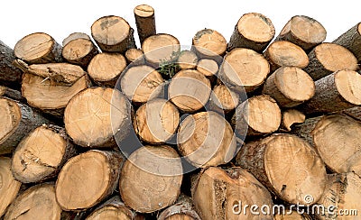 Stack of Pine Tree Trunks Isolated on White Background Stock Photo