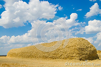 Stack of straw Stock Photo