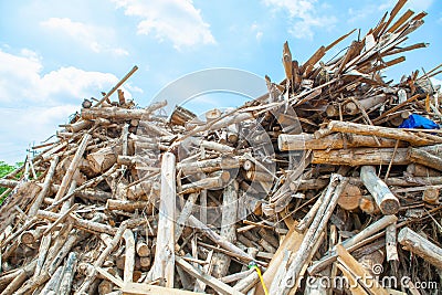 Stack of teak wood log Stock Photo