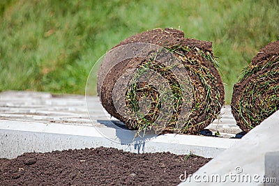 Stack of turf grass roll for lawn Stock Photo