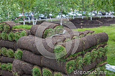 turf grass rolls for lawn. Carpet of turf, roll of sod for landscaping. Installation of modern landscape and environment Stock Photo