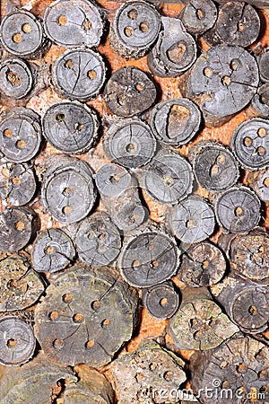 Stack of wooden sticks for bee hives Stock Photo