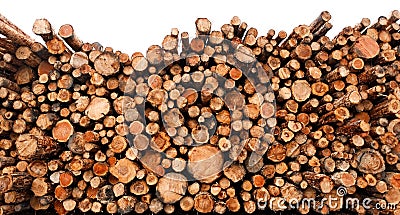 Stacked cut raw timber wood logs Stock Photo