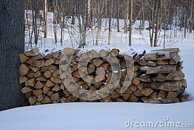 Stacked fire wood pile in winter Stock Photo