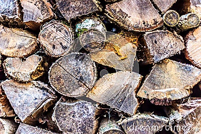 Stacked Fire Wood for Winter Stock Photo