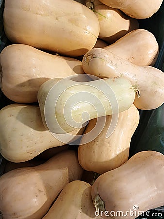 Stacked gourds pumpkins squash Stock Photo