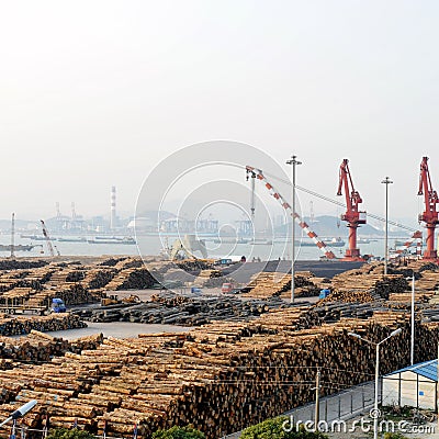 Stacked logs Stock Photo