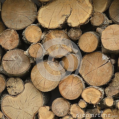 Stacked Logs Stock Photo