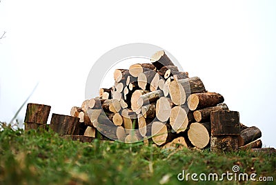 Stacked logs and grass Stock Photo