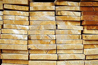 Stacked timber. Stock Photo