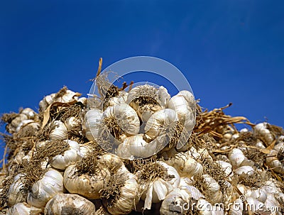 Stacked White Garlic at the Market Stock Photo