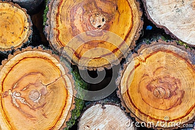 Stacked wood covered with snow. Background. A woodpile of dry fire woods in the winter. Stack of fire wood with snow. Winter fire Stock Photo