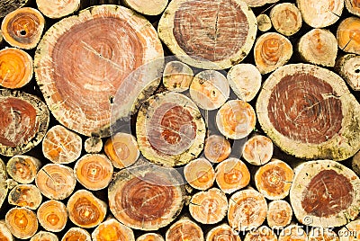 Stacked wood cut background Stock Photo