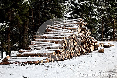 Stacked wood in winter Stock Photo