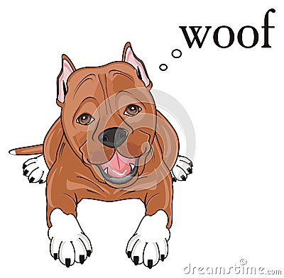 Staff say woof Stock Photo