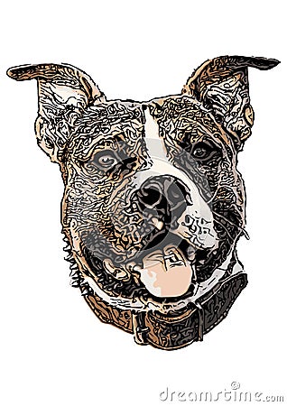 American Staffordshire terrier colored Illustration Vector Illustration