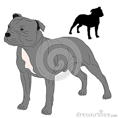 Staffordshire Bull Terrier dog silhouette Vector Illustration