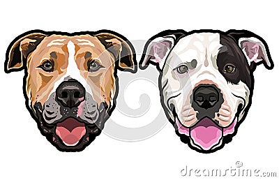 Staffordshire Terrier dog full color vector illustration Vector Illustration