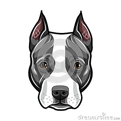 Staffordshire Terrier head. Dog portrait. Cute pet. Staffordshire terrier dog breed. Vector. Vector Illustration
