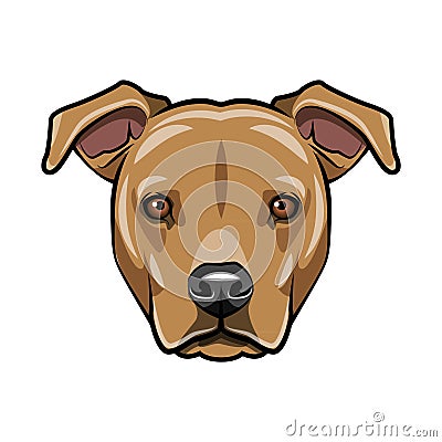 Staffordshire terrier portrait. Dog face, muzzle, head. Staffordshire terrier breed. Vector. Vector Illustration