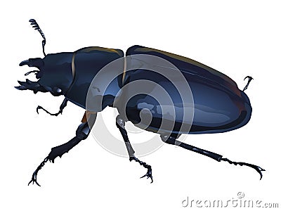Stag beetle Vector Illustration