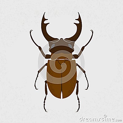 Stag beetle, the largest beetle Vector Illustration