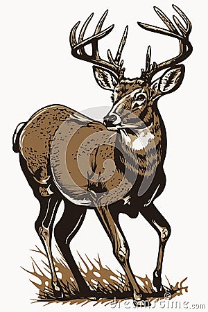 Stag buck elk deer head antlers majestic retro portrait isolated vector logo emblem mascot insignia Cartoon Illustration