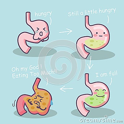 Stage of cartoon stomach Vector Illustration