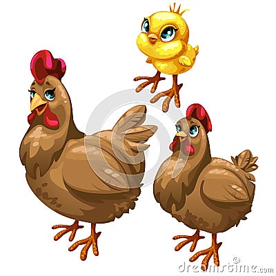 Stages of growing brown chicken. Vector birds Vector Illustration