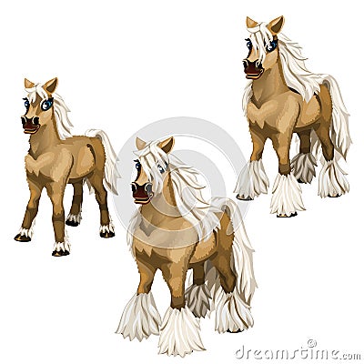 Stages of growing brown horse with a white mane Vector Illustration