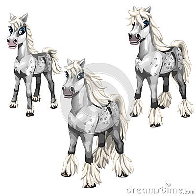 Stages of growing gray horse with a white mane Vector Illustration